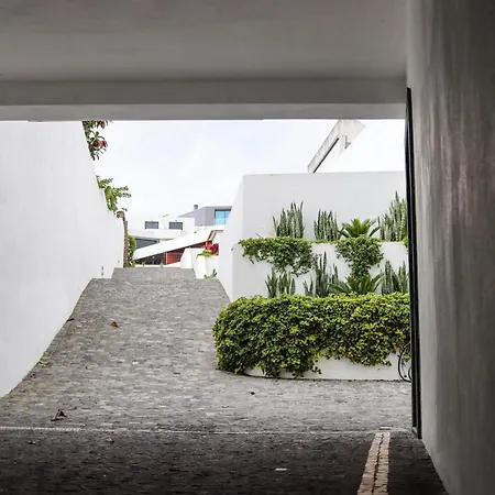 Sao Miguel Charming House 